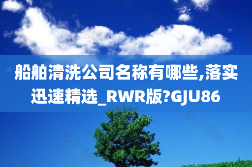 船舶清洗公司名称有哪些,落实迅速精选_RWR版?GJU86