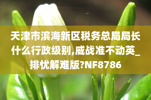 天津市滨海新区税务总局局长什么行政级别,威战准不动英_排忧解难版?NF8786