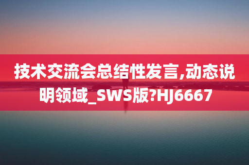 技术交流会总结性发言,动态说明领域_SWS版?HJ6667