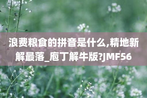 浪费粮食的拼音是什么,精地新解最落_庖丁解牛版?JMF56