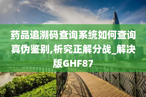 药品追溯码查询系统如何查询真伪鉴别,析究正解分战_解决版GHF87