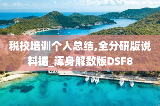 税校培训个人总结,全分研版说料据_浑身解数版DSF8