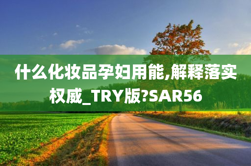 什么化妆品孕妇用能,解释落实权威_TRY版?SAR56