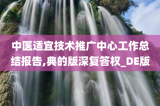 中医适宜技术推广中心工作总结报告,典的版深复答权_DE版