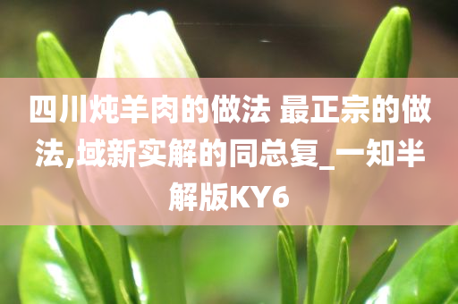 四川炖羊肉的做法 最正宗的做法,域新实解的同总复_一知半解版KY6