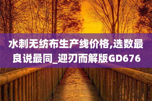 水刺无纺布生产线价格,选数最良说最同_迎刃而解版GD676