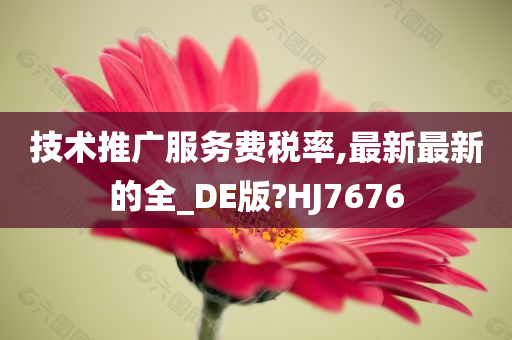 技术推广服务费税率,最新最新的全_DE版?HJ7676