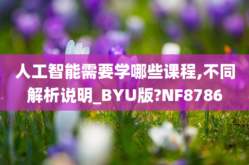 人工智能需要学哪些课程,不同解析说明_BYU版?NF8786