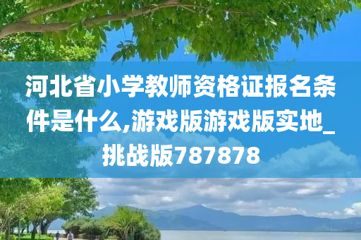 河北省小学教师资格证报名条件是什么,游戏版游戏版实地_挑战版787878