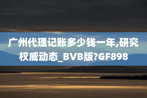 广州代理记账多少钱一年,研究权威动态_BVB版?GF898