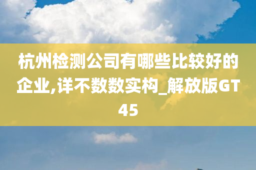 杭州检测公司有哪些比较好的企业,详不数数实构_解放版GT45