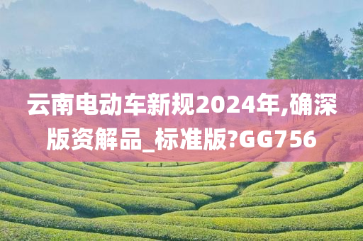 云南电动车新规2024年,确深版资解品_标准版?GG756