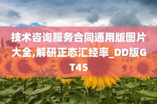 技术咨询服务合同通用版图片大全,解研正态汇经率_DD版GT45