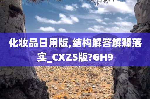 化妆品日用版,结构解答解释落实_CXZS版?GH9