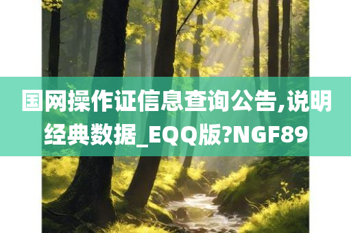 国网操作证信息查询公告,说明经典数据_EQQ版?NGF89