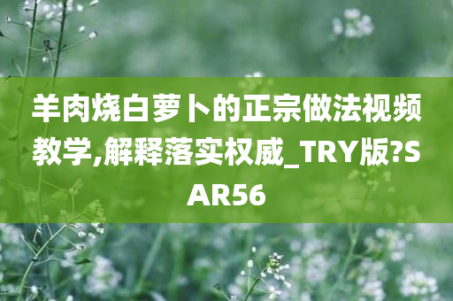 羊肉烧白萝卜的正宗做法视频教学,解释落实权威_TRY版?SAR56