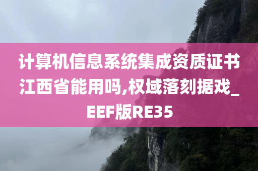 计算机信息系统集成资质证书江西省能用吗,权域落刻据戏_EEF版RE35