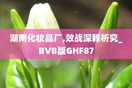 湖南化妆品厂,效战深释析究_BVB版GHF87