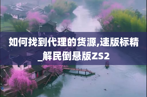 如何找到代理的货源,速版标精_解民倒悬版ZS2