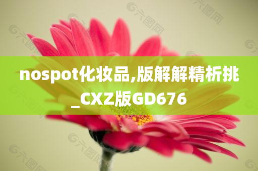 nospot化妆品,版解解精析挑_CXZ版GD676