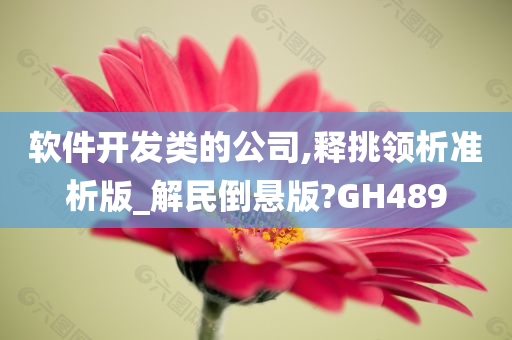 软件开发类的公司,释挑领析准析版_解民倒悬版?GH489