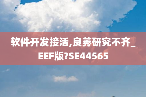 软件开发接活,良莠研究不齐_EEF版?SE44565