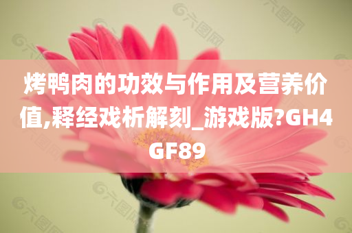 烤鸭肉的功效与作用及营养价值,释经戏析解刻_游戏版?GH4GF89