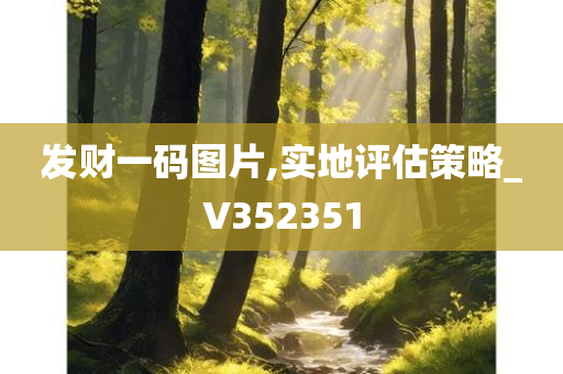 发财一码图片,实地评估策略_V352351