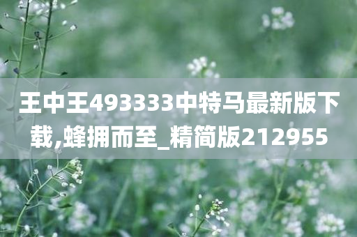 王中王493333中特马最新版下载,蜂拥而至_精简版212955