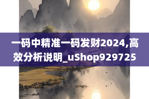 一码中精准一码发财2024,高效分析说明_uShop929725