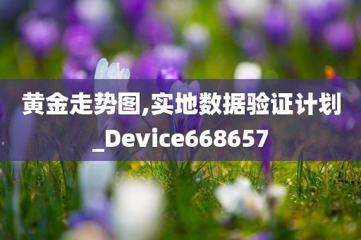 黄金走势图,实地数据验证计划_Device668657