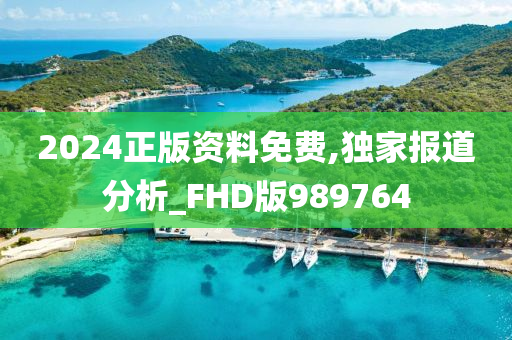 2024正版资料免费,独家报道分析_FHD版989764