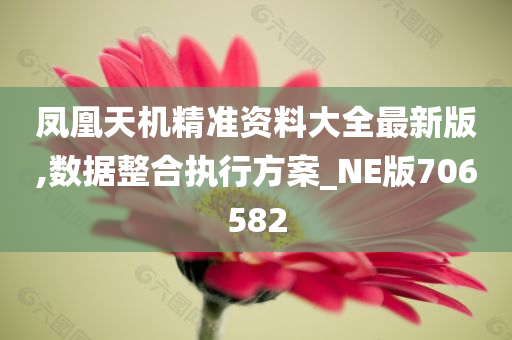 凤凰天机精准资料大全最新版,数据整合执行方案_NE版706582