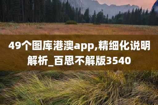 49个图库港澳app,精细化说明解析_百思不解版3540