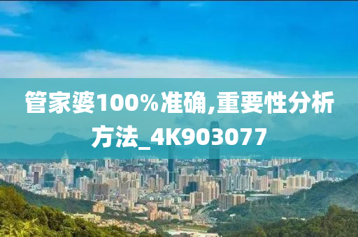 管家婆100%准确,重要性分析方法_4K903077