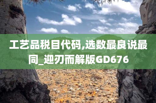 工艺品税目代码,选数最良说最同_迎刃而解版GD676