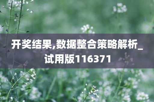 开奖结果,数据整合策略解析_试用版116371