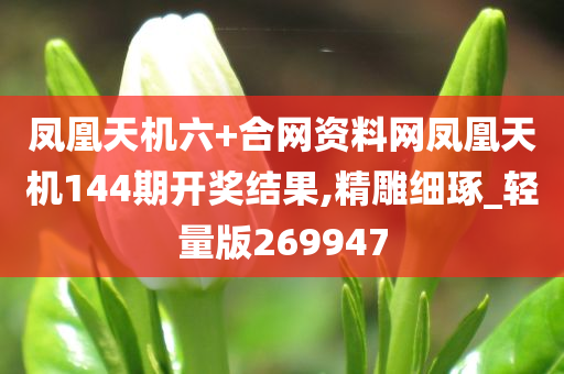 凤凰天机六+合网资料网凤凰天机144期开奖结果,精雕细琢_轻量版269947