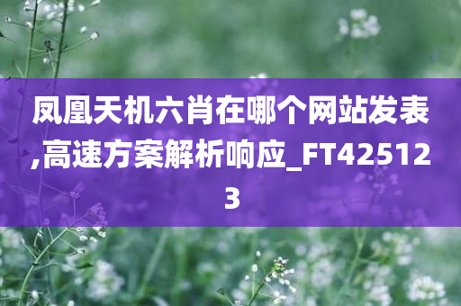 凤凰天机六肖在哪个网站发表,高速方案解析响应_FT425123