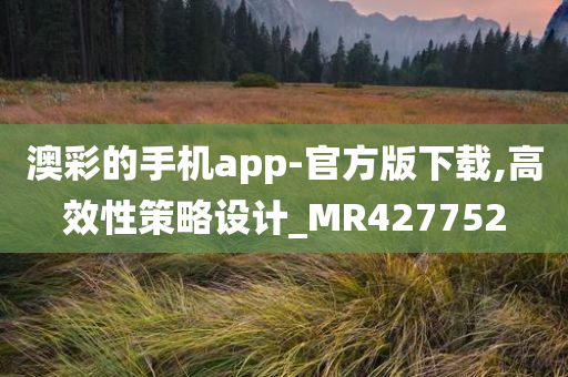 澳彩的手机app-官方版下载,高效性策略设计_MR427752