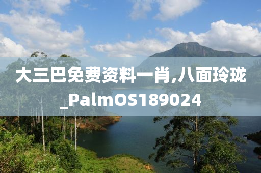 大三巴免费资料一肖,八面玲珑_PalmOS189024