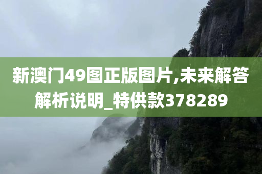 新澳门49图正版图片,未来解答解析说明_特供款378289