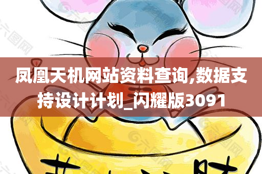 凤凰天机网站资料查询,数据支持设计计划_闪耀版3091