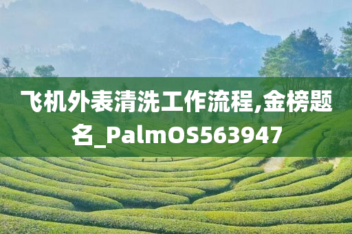 飞机外表清洗工作流程,金榜题名_PalmOS563947