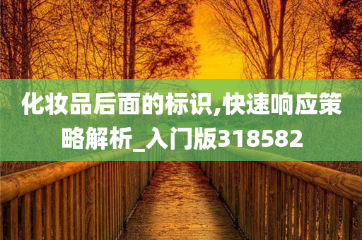 化妆品后面的标识,快速响应策略解析_入门版318582