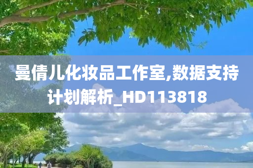 曼倩儿化妆品工作室,数据支持计划解析_HD113818