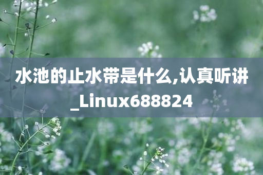 水池的止水带是什么,认真听讲_Linux688824