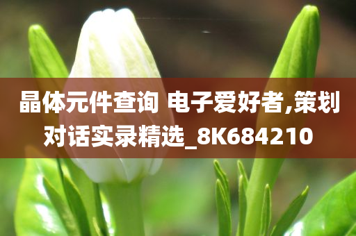 晶体元件查询 电子爱好者,策划对话实录精选_8K684210