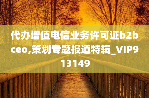 代办增值电信业务许可证b2bceo,策划专题报道特辑_VIP913149