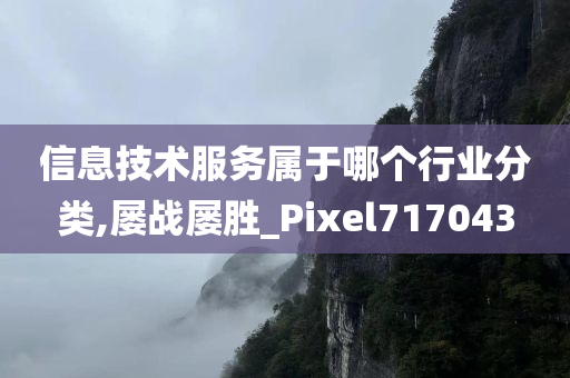 信息技术服务属于哪个行业分类,屡战屡胜_Pixel717043